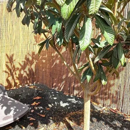 Casa de Férias Acogedora Casa Con Jardin Y Barbacoa