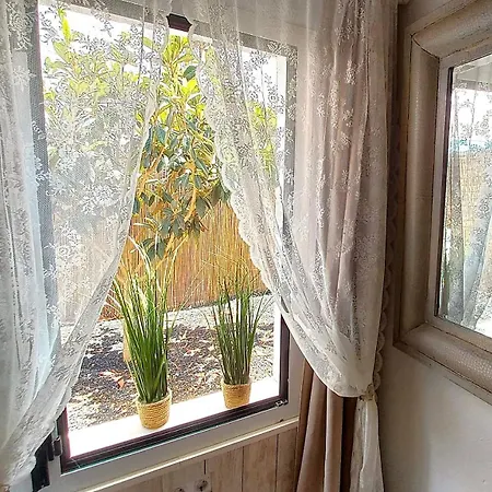 Acogedora Casa Con Jardin Y Barbacoa プエルト・デル・ロサリオ